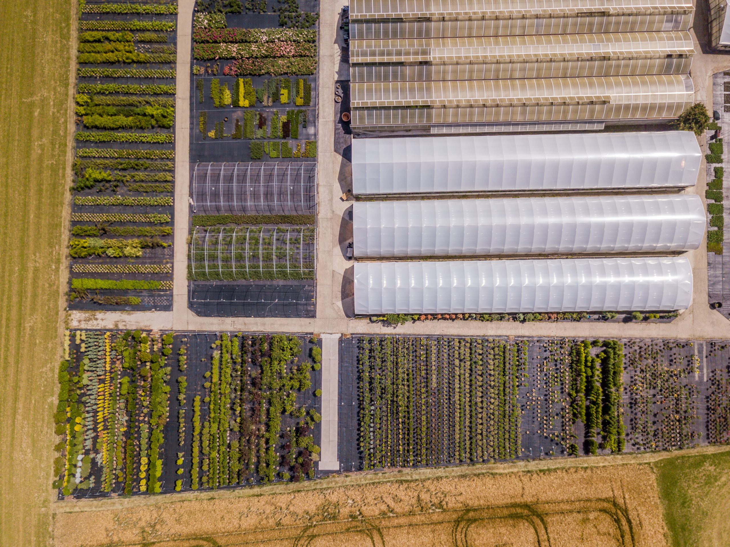 Explotaciones agrícolas prioritarias: qué son, requisitos y beneficios para agricultores